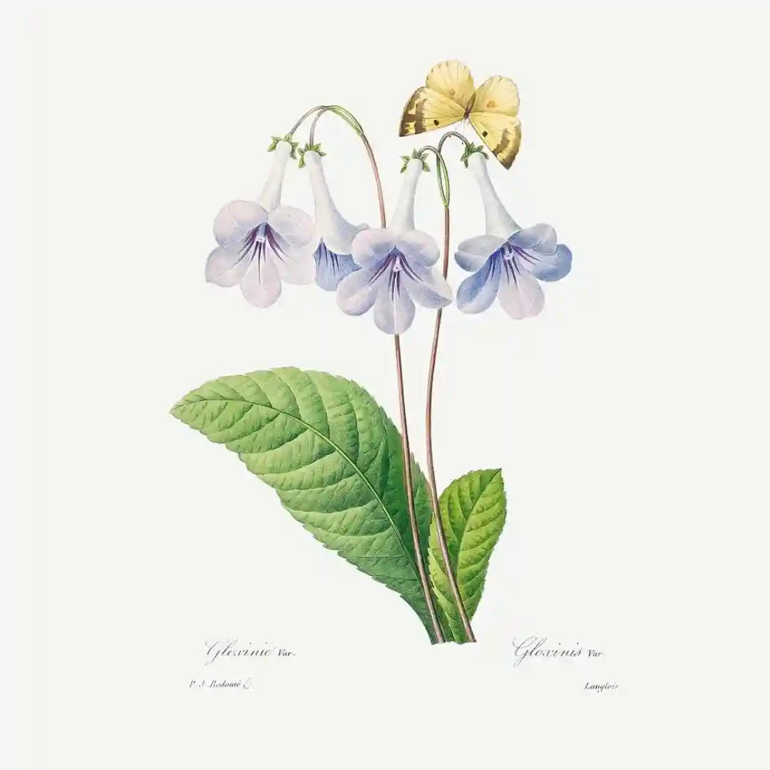 Radiant Botanicals Modern Floral Art Prints (Set of 2)