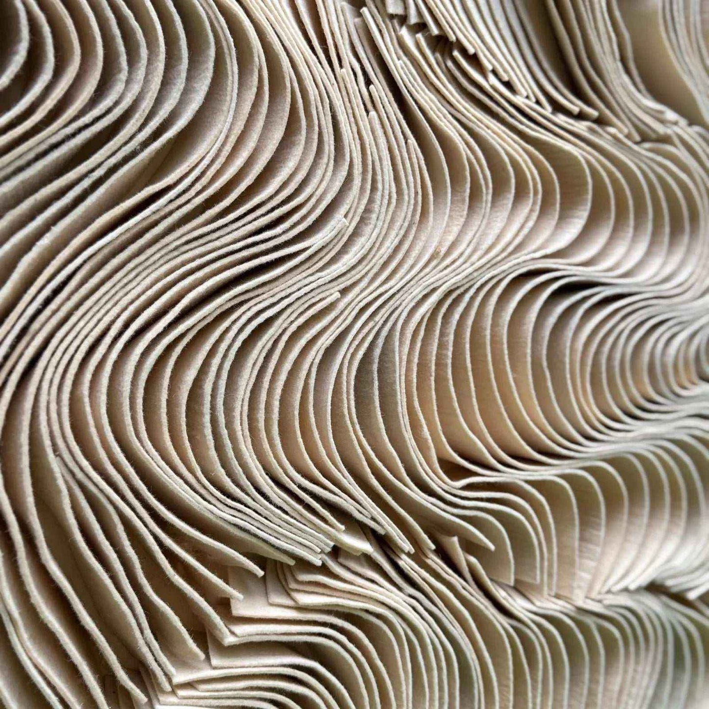 Sculpted Felt for Home Decor