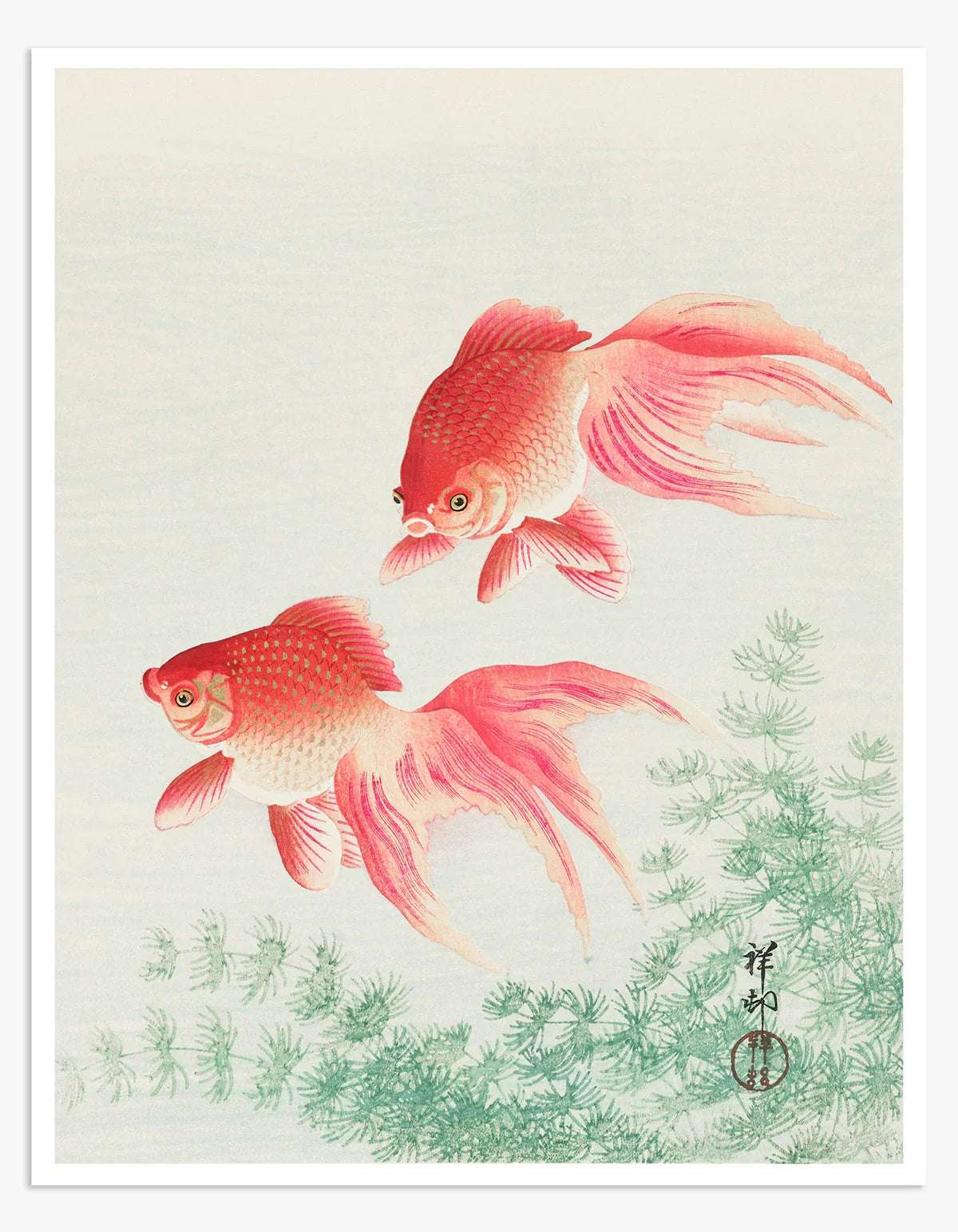 Two veil goldfish (1926) Vintage Digital Art Print