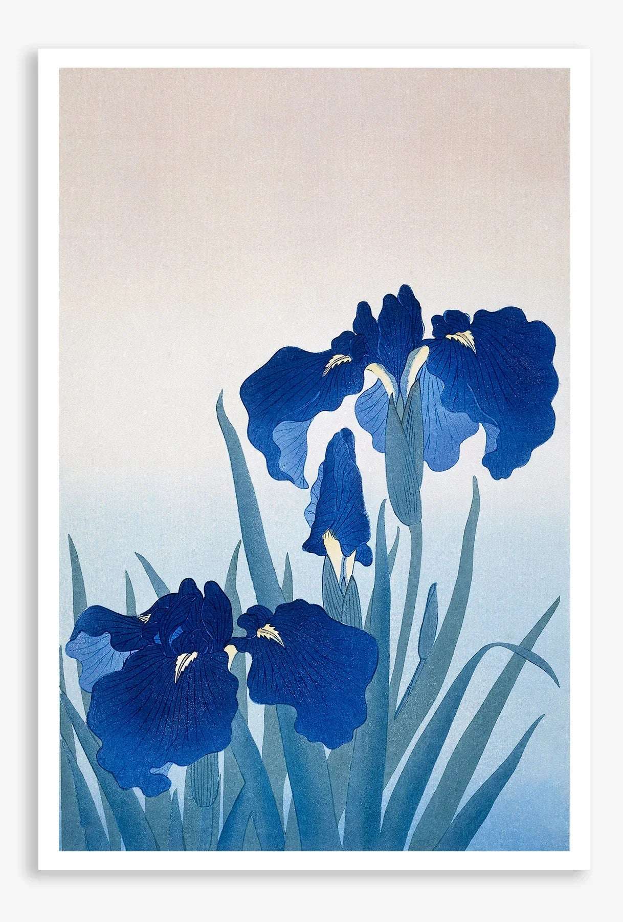 Iris flowers (1925 - 1936) Botanical Digital Art