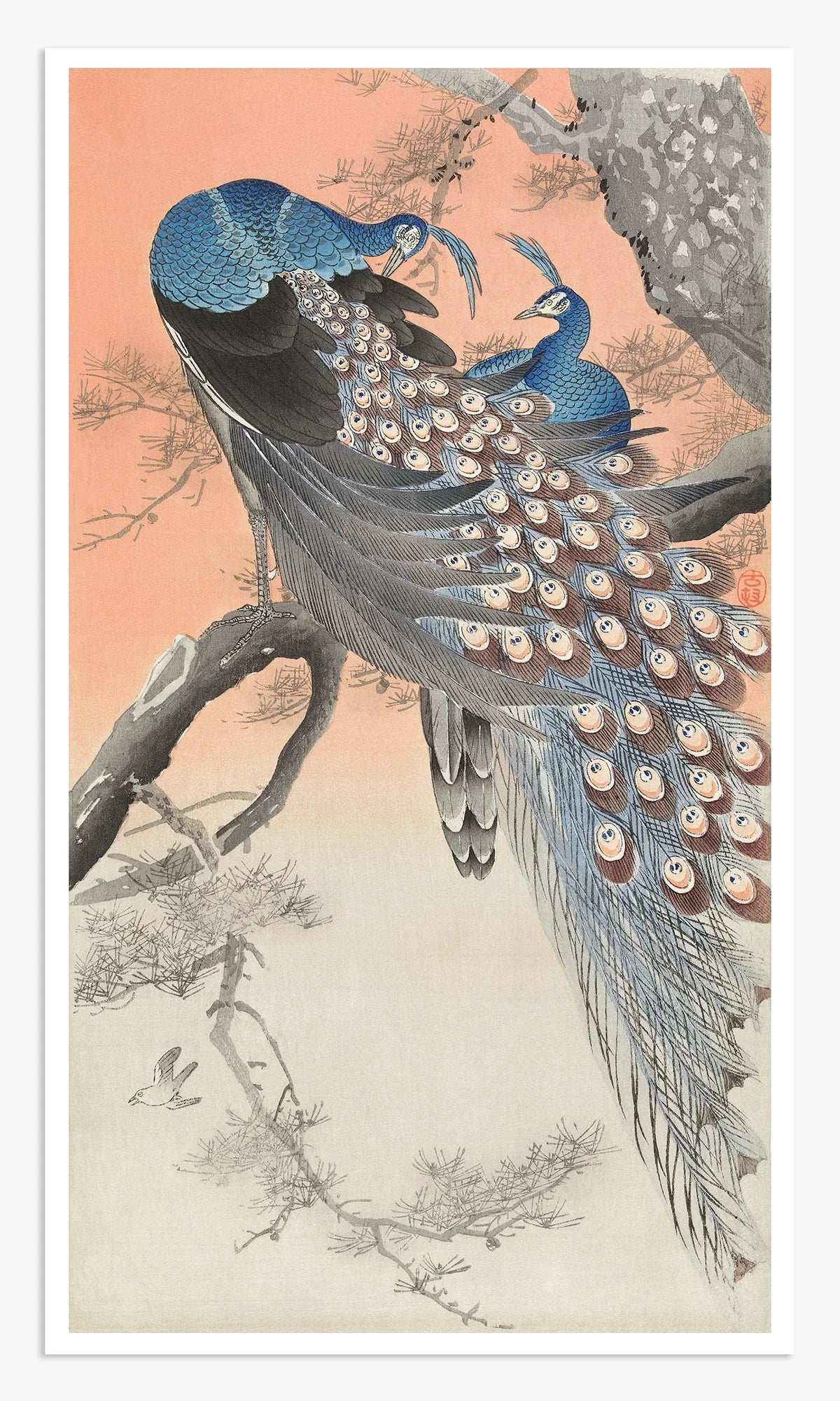 Two peacocks on tree branch (1900 - 1930) Digital Art Print