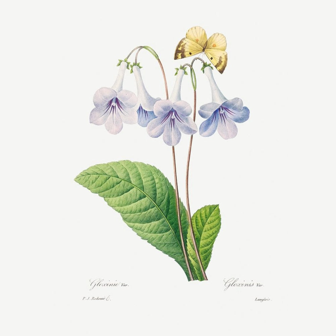 Radiant Botanicals Modern Floral Art Prints (Set of 2)