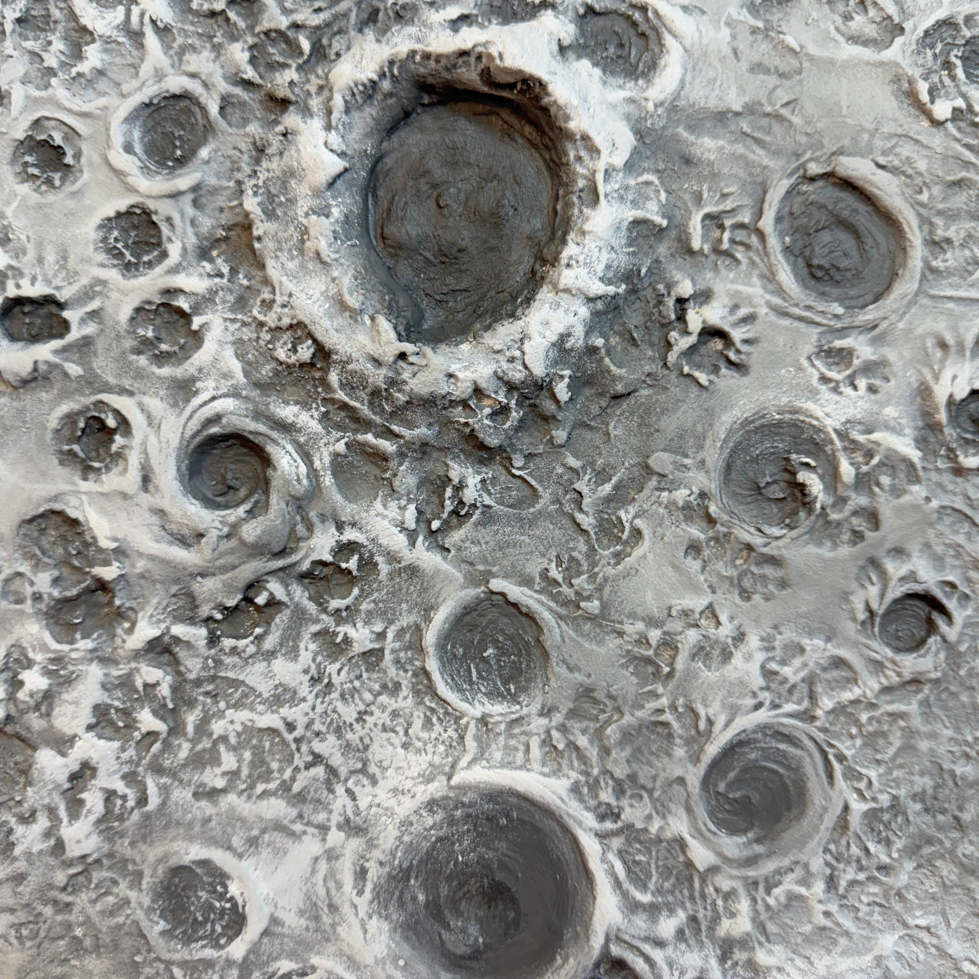 A close-up abstract texture or print featuring a mottled gray and off-white surface with multiple circular and crater-like forms.