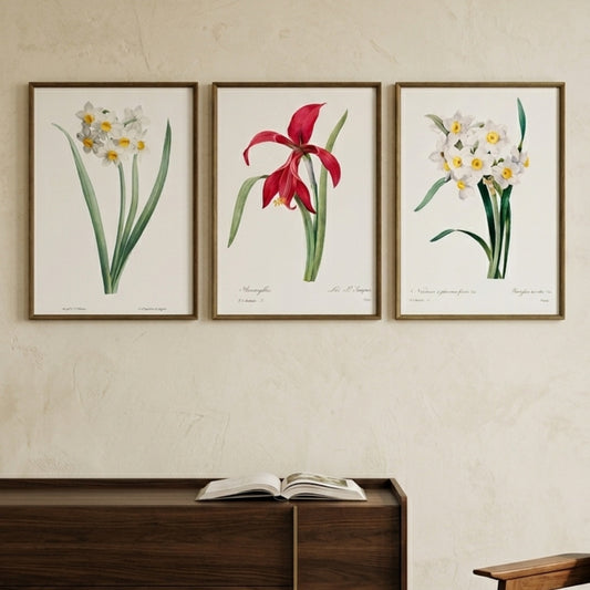 Crimson & Ivory Botanicals Art Prints (Set of 3)