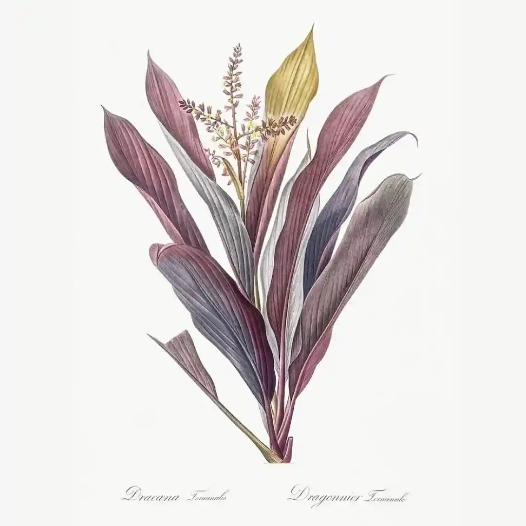 Botanical Fusion Art Prints (Set of 3)