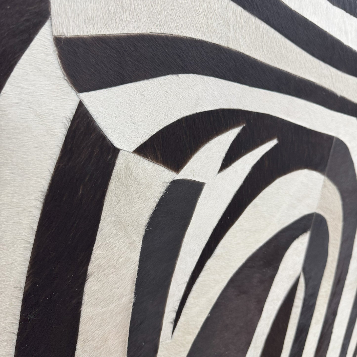 Silent Curl Modern Leather Wall Art