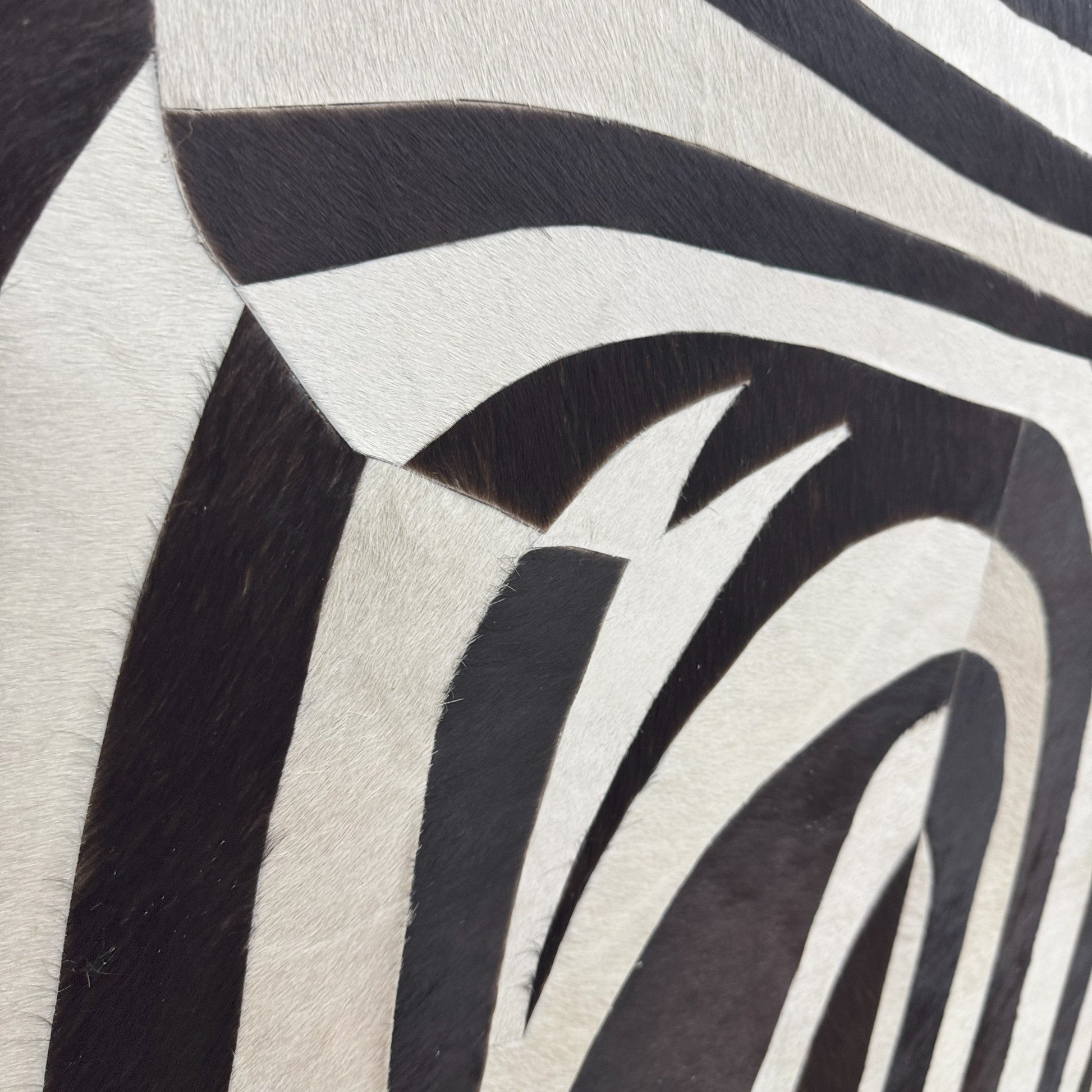 Silent Curl Modern Leather Wall Art