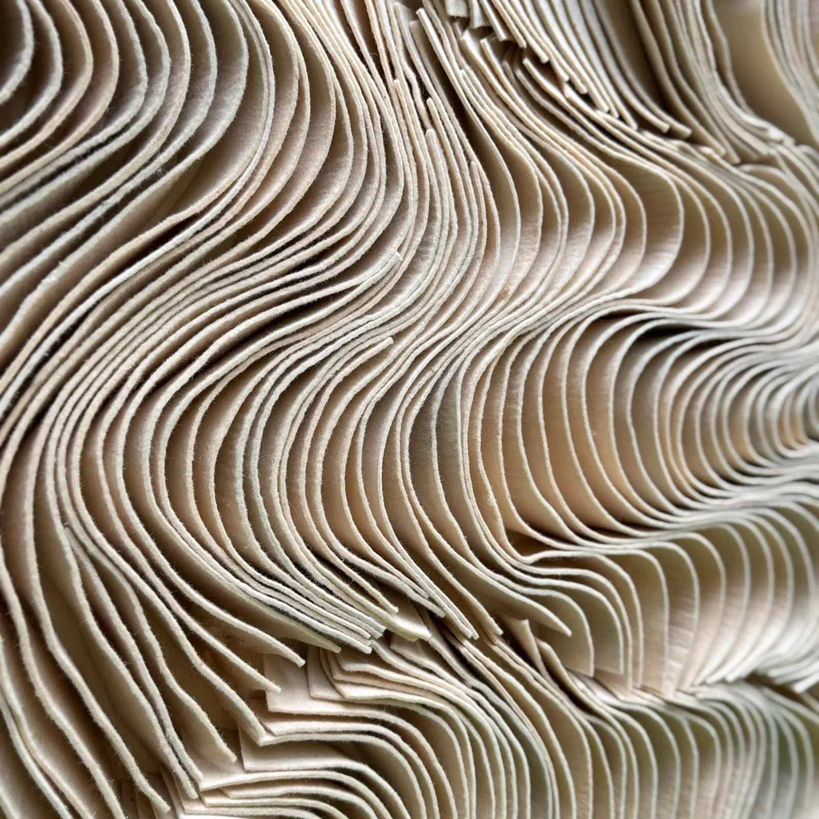 Sculpted Felt for Home Decor