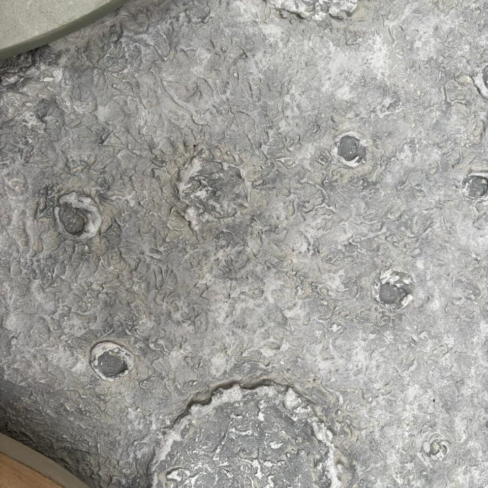 Selene Wall Art Luxury Home Decor for Modern Interiors