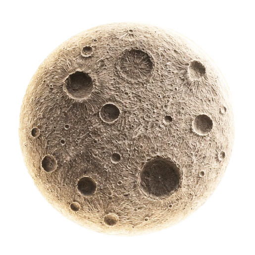 Selene Wall Art Luxury Home Decor for Modern Interiors